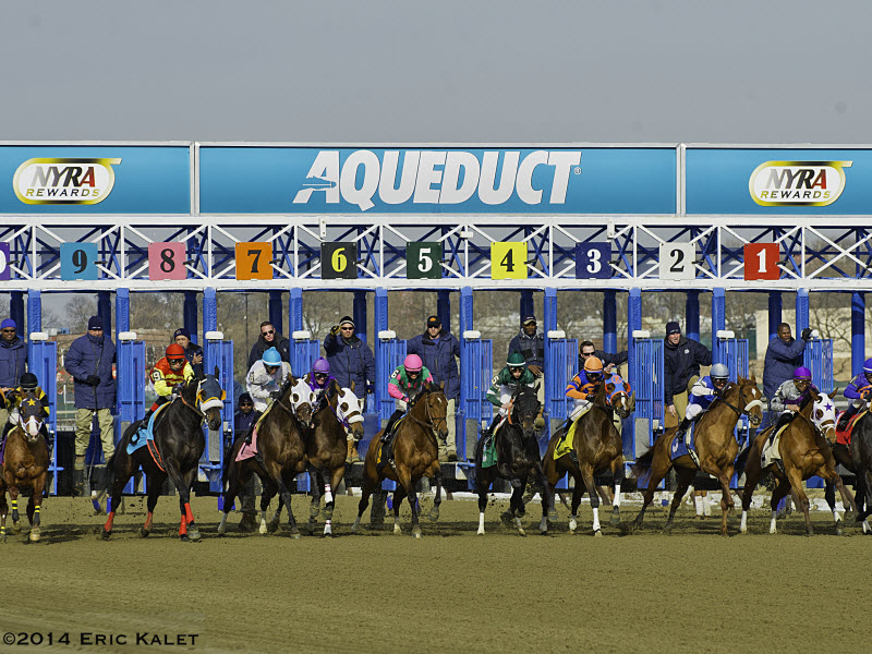 2013 Belmont Stakes Results Chart