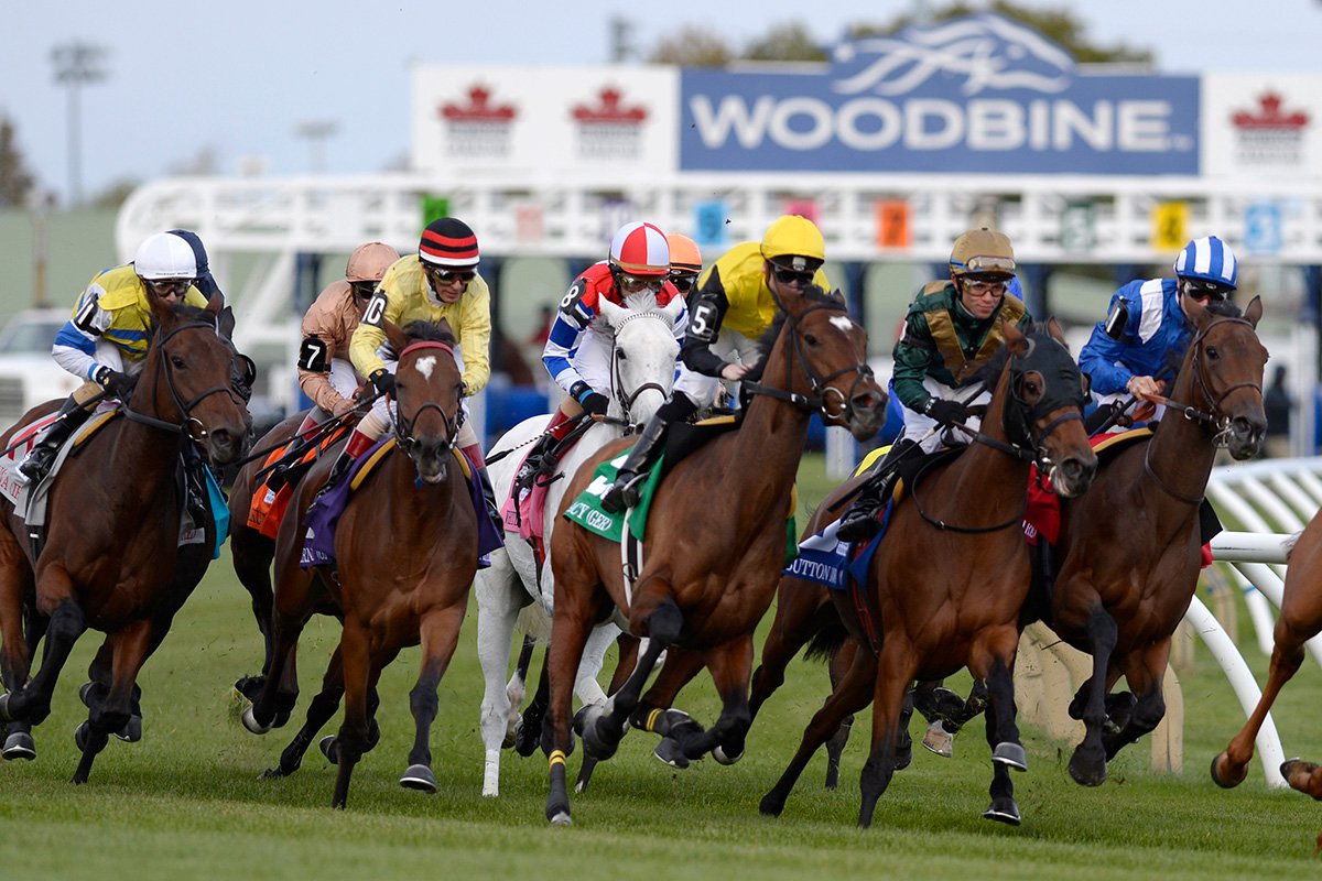 2014 Belmont Stakes Chart