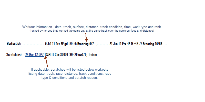 15 Minute Equibase horse workouts for Women