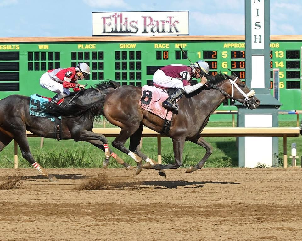 Equibase Horse Racing Horse Racing Entries Horse Racing Results
